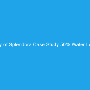 City of Splendora Case Study 50% Water Loss Reduction