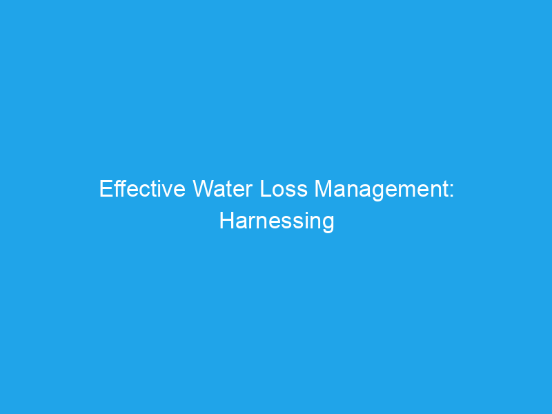 Effective Water Loss Management: Harnessing SAMCO’s Innovations for Sustainable Solutions