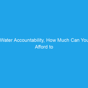 Water Accountability, How Much Can You Afford to Lose?