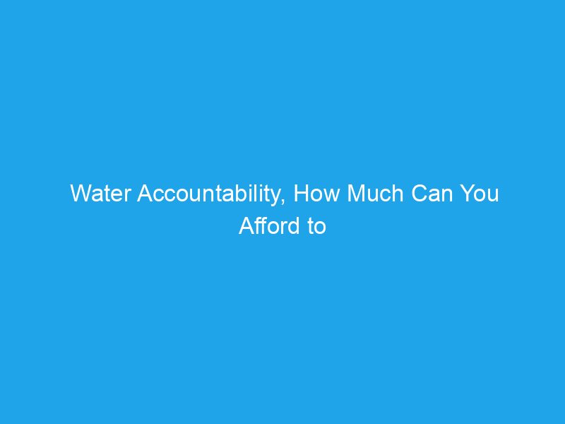 Water Accountability, How Much Can You Afford to Lose?