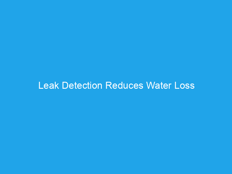 Leak Detection Reduces Water Loss
