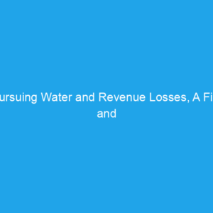 Pursuing Water and Revenue Losses, A First and Critical Step