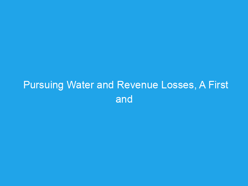 Pursuing Water and Revenue Losses, A First and Critical Step