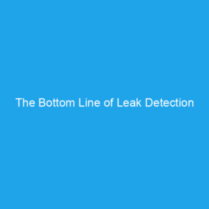 The Bottom Line of Leak Detection