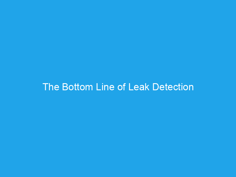 The Bottom Line of Leak Detection